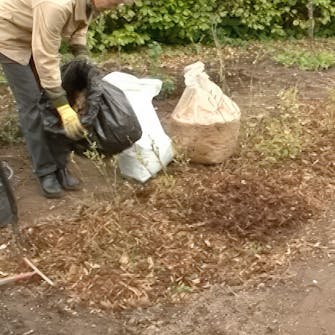 Gjødsel til blåbær Gjødsel til blåbær